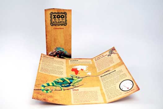 Print_Dallas's tweet image. buff.ly/2M6pop8
#designthinking #printdallas #GraphicDesign #BrochureDesign
10 Cool New Brochure Designs. Check this out!😁