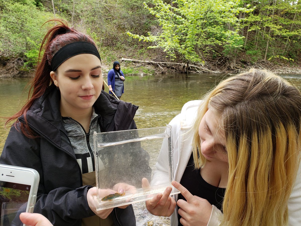 Carleyz13's tweet photo. Wildlife the Grade 10's discovered today at Medway creek! @UTRCAmarketing @mskalexander @glasgowbrat @Carleyz13 @davison_ss #experientiallearning #rethinksecondary #getoutside https://t.co/3herlynLAB https://t.co/DBFqh3iOQA