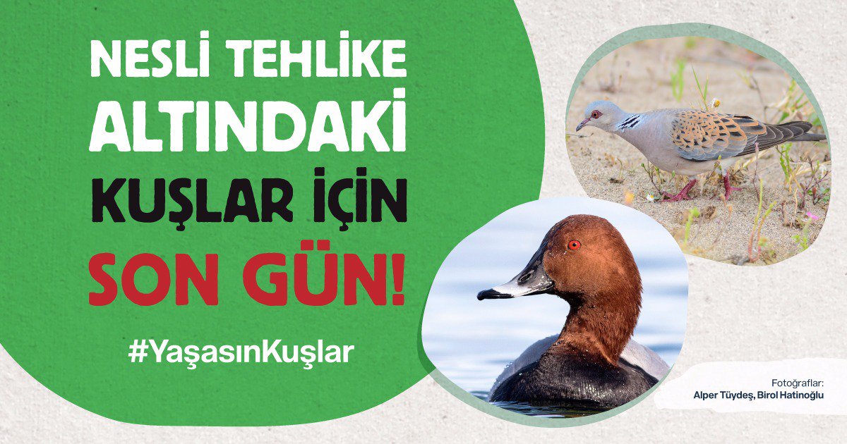 Doğru bilinen yanlışlar:
Egosistem değil, ekosistem! 
Keyif için hiçbir canlının soyunu tehlikeye atmak yok.
Kuşları avlamayacağız, yaşatacağız!
#YaşasınKuşlar Change.org/yasasinkuslar