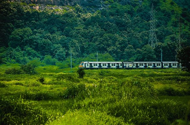 Pro_Ignorant's tweet photo. Through the Jungle
#travel #travelphotography #traveldiaries #travelclicks #junglelover #jungle #nature #naturelovers #naturephotography #meemamsa #nikonphotography #nikonclicks #nikonshowcase #nikonmoments #landscape #landscapephotograpy #composition https://t.co/0ahTNvwntl