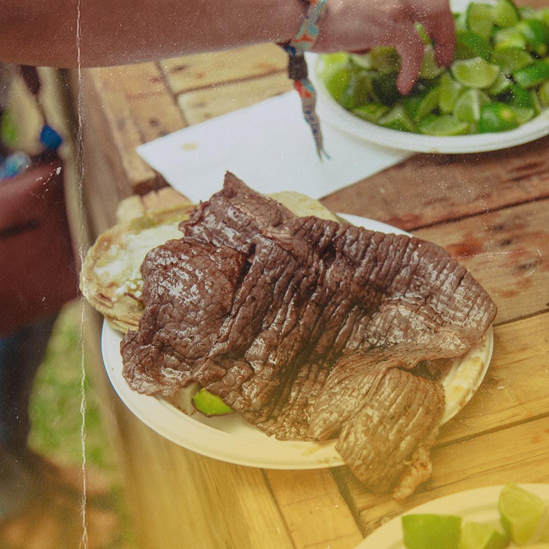 Festival Solar GNP tweet media