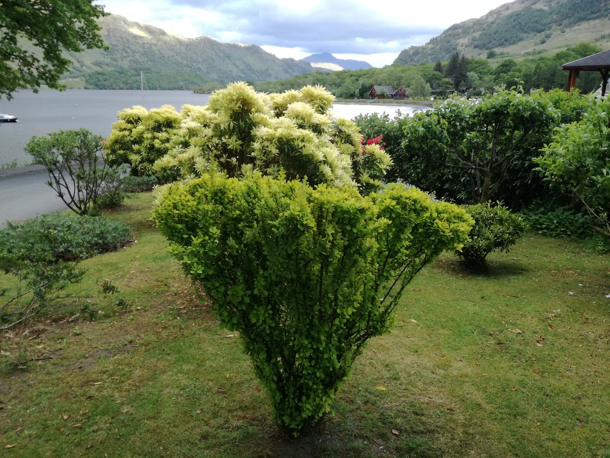 A pleasant evening at the Lodge.
<a href="/CruiseLL/">CruiseLochLomond</a>
<a href="/HighlandMidge/">The Highland Midge Lotion</a>
<a href="/MaryJeanUK/">Mary Jean® Cruelty Free Beauty & Home Fragrance</a>
<a href="/Jaki_Graham/">Jaki Graham</a>
<a href="/LinkedMagazines/">Linked Magazine</a>
<a href="/VisitScotland/">VisitScotland</a>
<a href="/TrossachsLomond/">LochLomond-Trossachs</a>