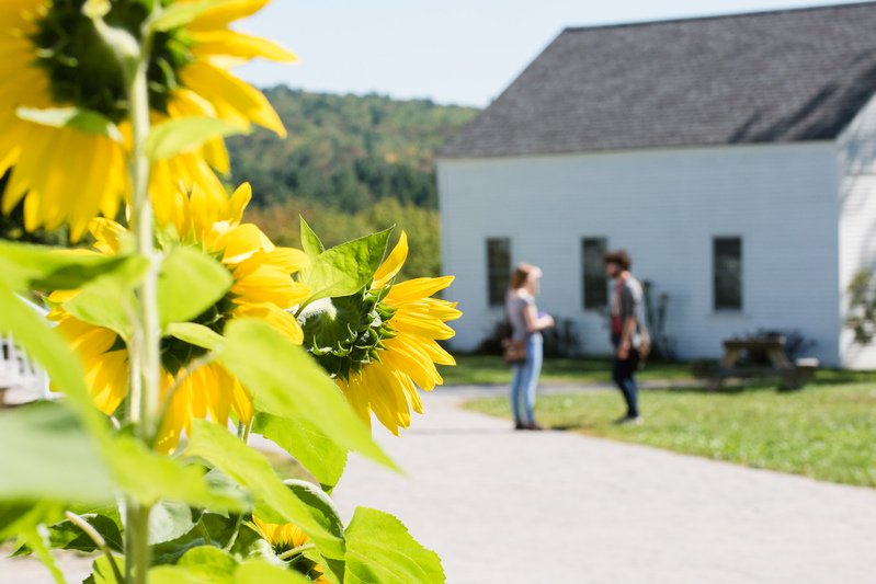MarlboroCollege's tweet photo. The birds are singing, the grass is growing, and that means it's the season for...Colleges that Change Lives! If you are—or know of—a student who wants a transformative education, join us at a summer #CTCLColleges fair and information session near you. https://t.co/PUVnbQ4maB https://t.co/bDgzQrkcUW