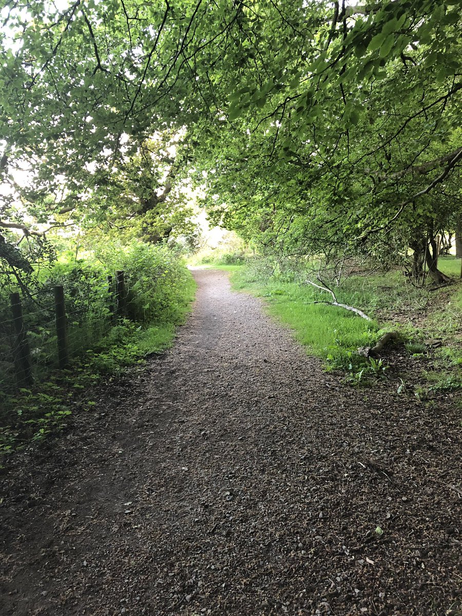 darren_ould's tweet photo. Lovely little evening ride to de-stress from presentation making! #getoutsode https://t.co/cb2dKuoCQc