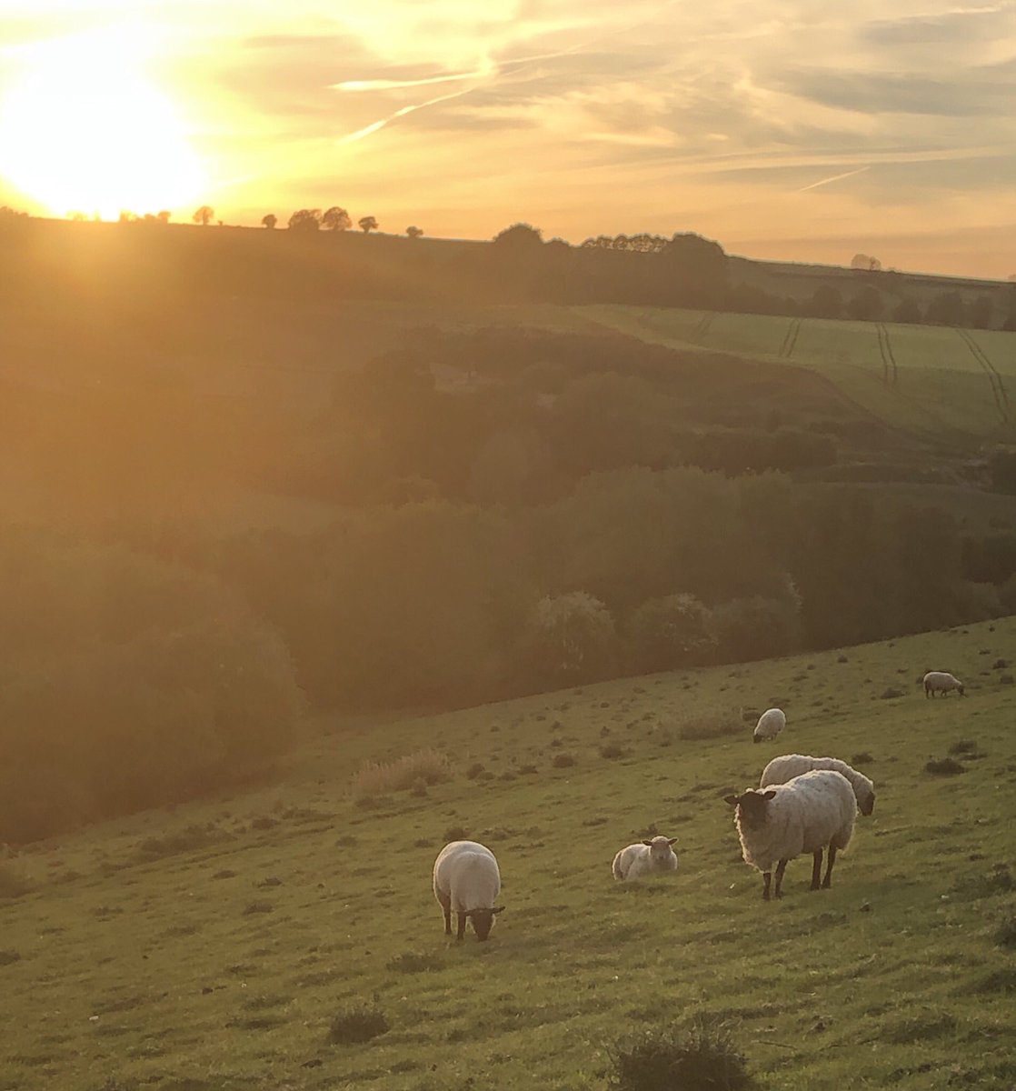 WellowShop's tweet image. Beautiful sunset over Wellow this evening.  I went out to check the burglar alarm in the @WellowShop was set and carried on walking!  Don’t forget to pop in and see us, plenty of fresh produce and a warm welcome.  #communityshop