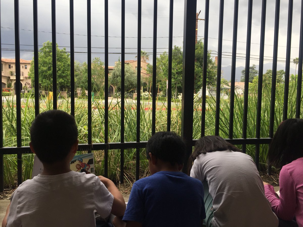 We moved silent reading time outside so we could watch the thunder and lightning.