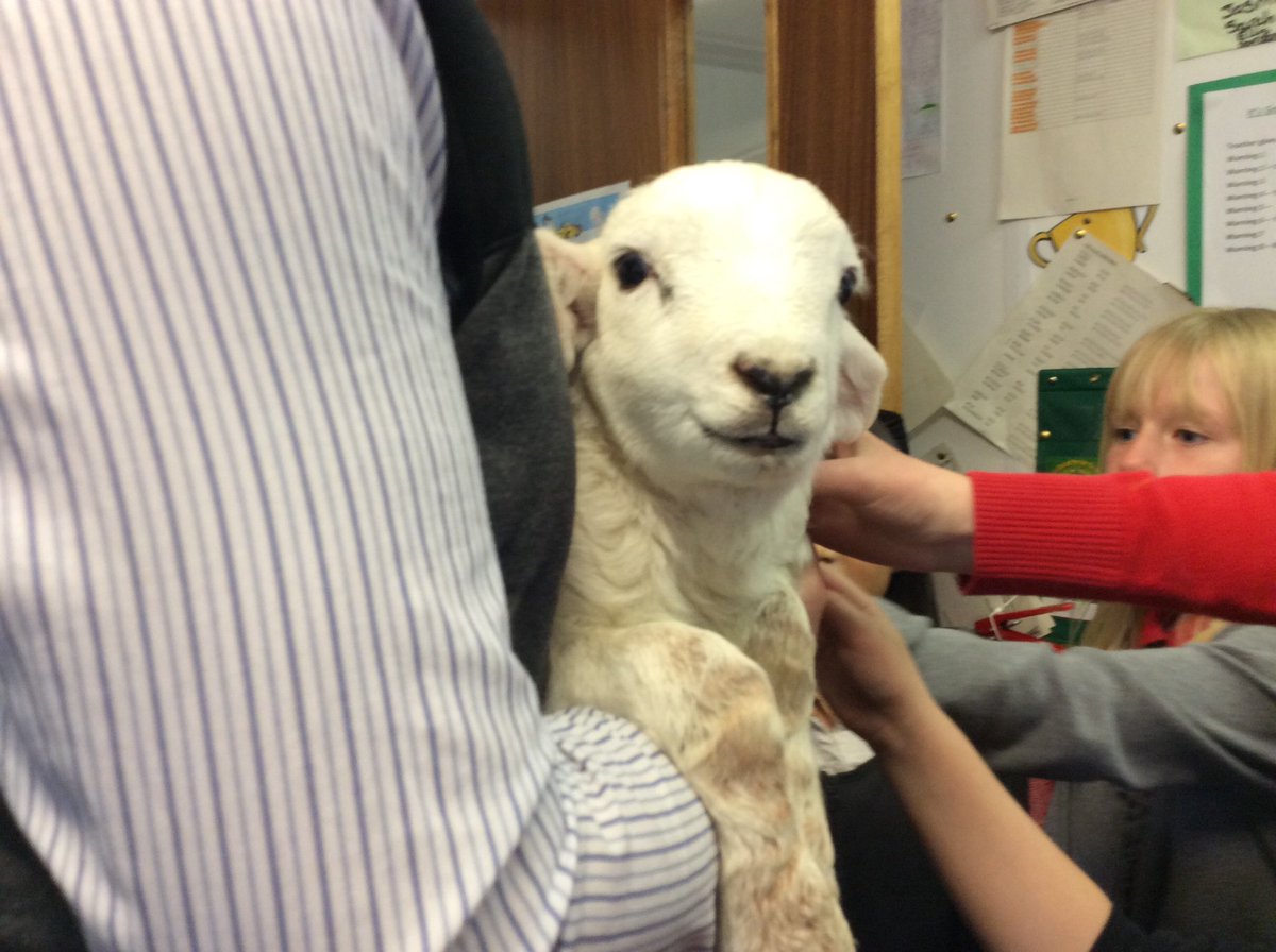 newmacharp4's tweet photo. Today we had a few very special visitors in class. Doesn't Mr Gordon look happy?! 😂😂😂 @MacharNew https://t.co/FA7diGnuXF