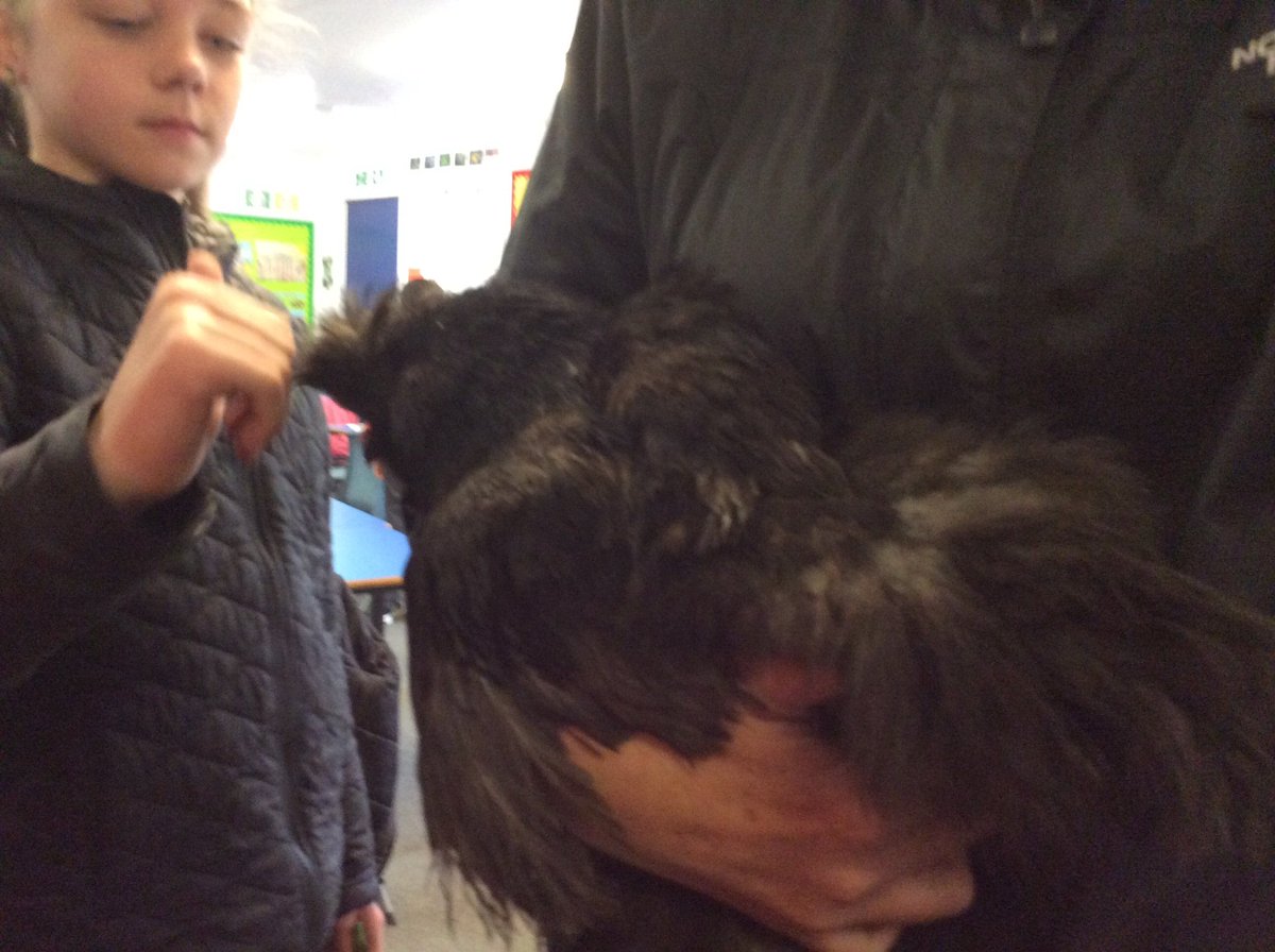 newmacharp4's tweet photo. Today we had a few very special visitors in class. Doesn't Mr Gordon look happy?! 😂😂😂 @MacharNew https://t.co/FA7diGnuXF