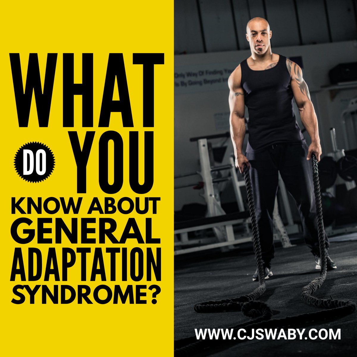 CjMSwaby's tweet photo. A 3 stage response the body has to stress.

A powerful principle identified back in 1936 by Hans Selye, that many still fail to understand.

#1 The Alarm Stage
#2 The Resistance Stage
#3 The Exhaustion Stage

I'll be talking about this more  in the coming days. https://t.co/De5KIe4UeM