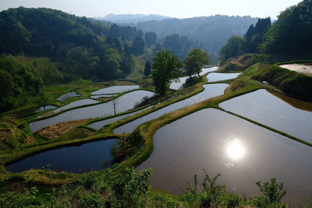 Etiqueta 蒲生の棚田 Al Twitter