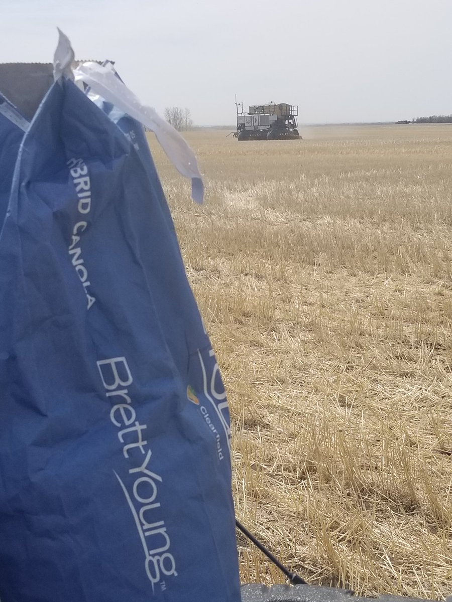 AlVanCaeseele's tweet photo. Neat to see the best @BrettYoungSeeds #5545CL genetics getting seeded with @SeeDotRun. Always willing to support great community initiatives #Balcarres #Lions https://t.co/0e99jFeoAO
