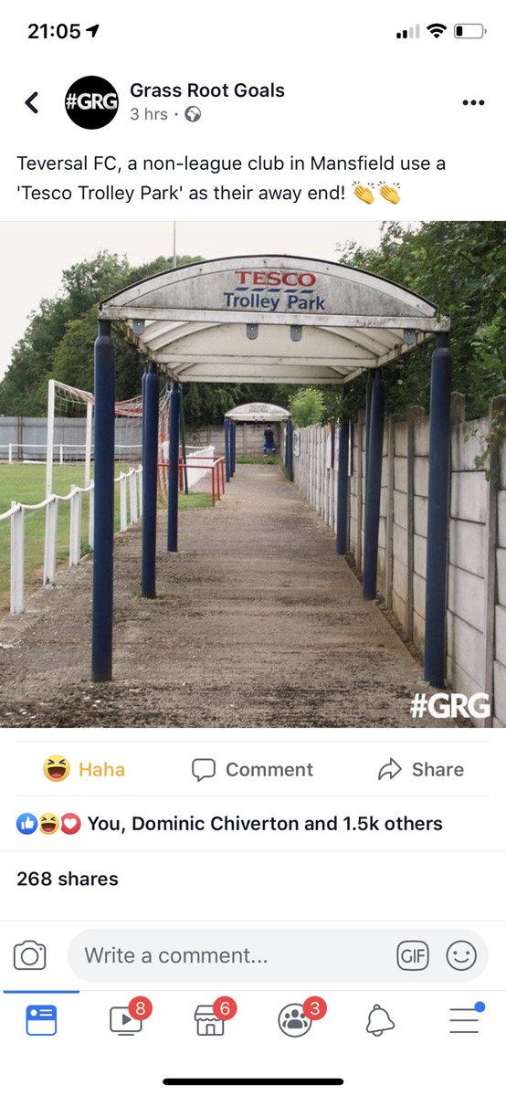 xxxxxGONZOxxxxx's tweet photo. Come on @Tesco dig deep and at least buy them a new stand 🤭🤭 #EveryLittleHelps #teversalfc https://t.co/gO9pKvg7pE