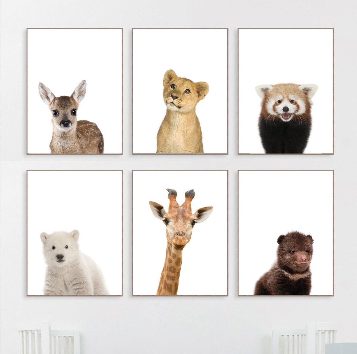 Get wild with our gorgeous baby wild animal portraits. You can get all 6 of these prints here ow.ly/bdva50uc2Rf

Create a stunning nursery display withe ease.
#nurserydecor #nurseryprints #babyanimals #cuteanimals #babygiraffe #nurseryinspo #nurserydecor #genderneutral