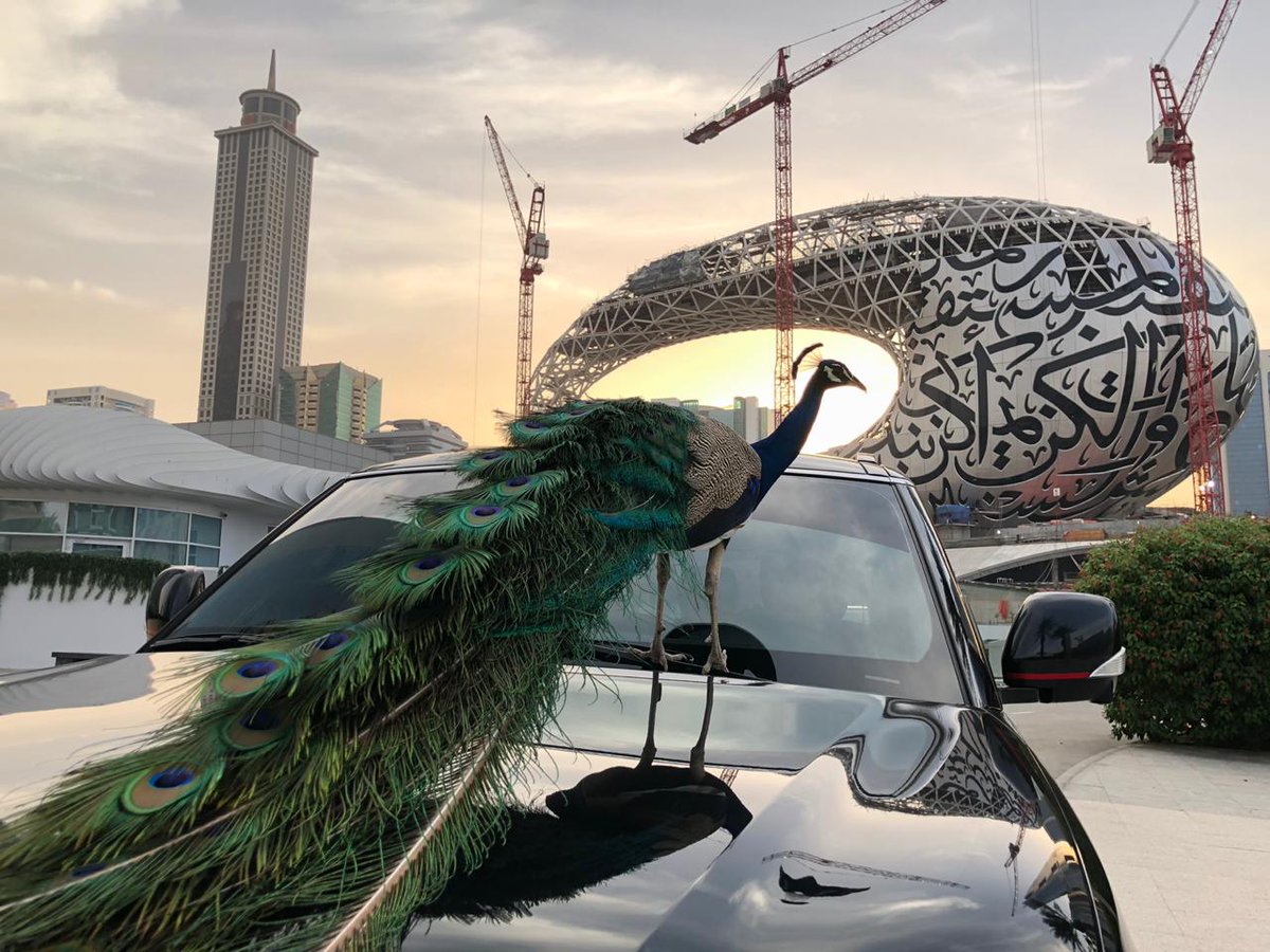 Dubai Future Foundation tweet media