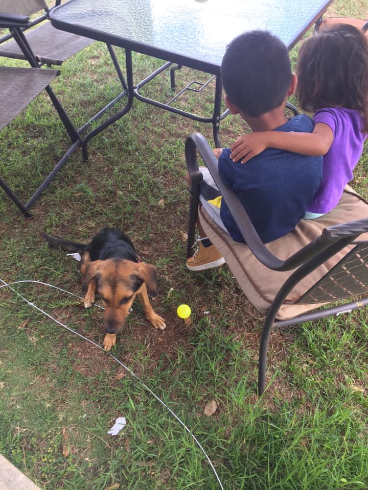 HarvestHouse's tweet photo. Instant Family: foster a child + foster a dog
Why not? Every child deserves to have a buddy!
#instantfamily #fosteradog #fosterachild #orphan671 #WednesdayWisdom https://t.co/QQjtkeO4SH