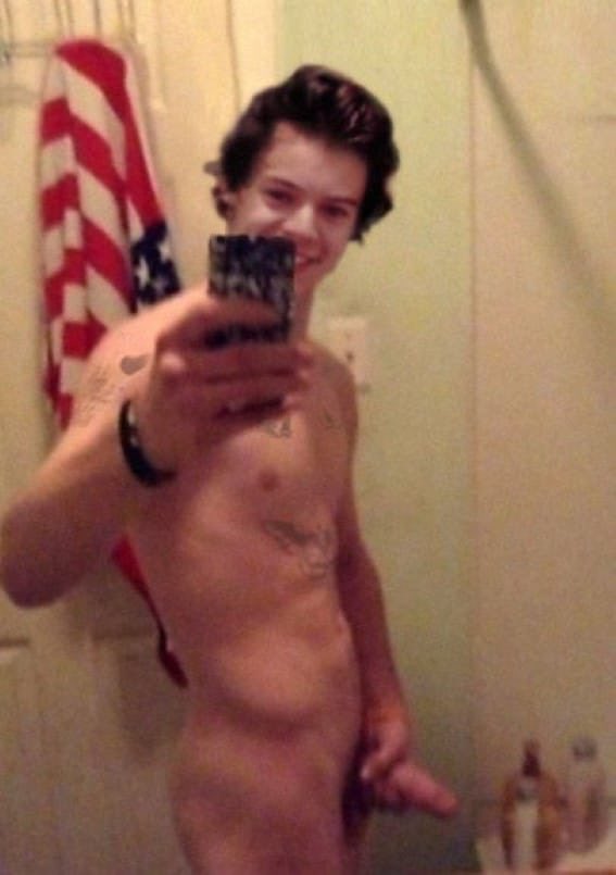 hairypitshairychest on Twitter: "Harry Styles #naked #cock #famouscock...