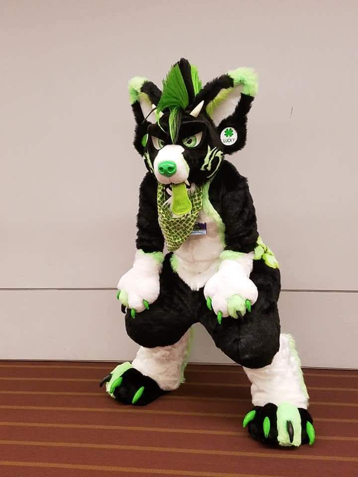 WanderersEmp's tweet photo. Happy #wandererswednesday!  Have a look at all them! So dangerously cute!

#fursuit #fursuitmaker #fursuiter #furry #furryFandom https://t.co/n7Q405SJCt