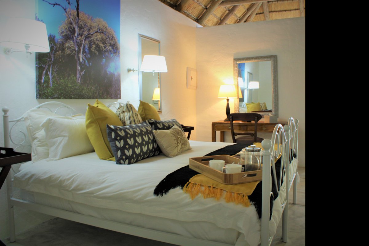 Shikwari's tweet photo. Come and enjoy our lodge where winter is like spring and the wildlife is eternal. https://t.co/QsEazDOUQ1