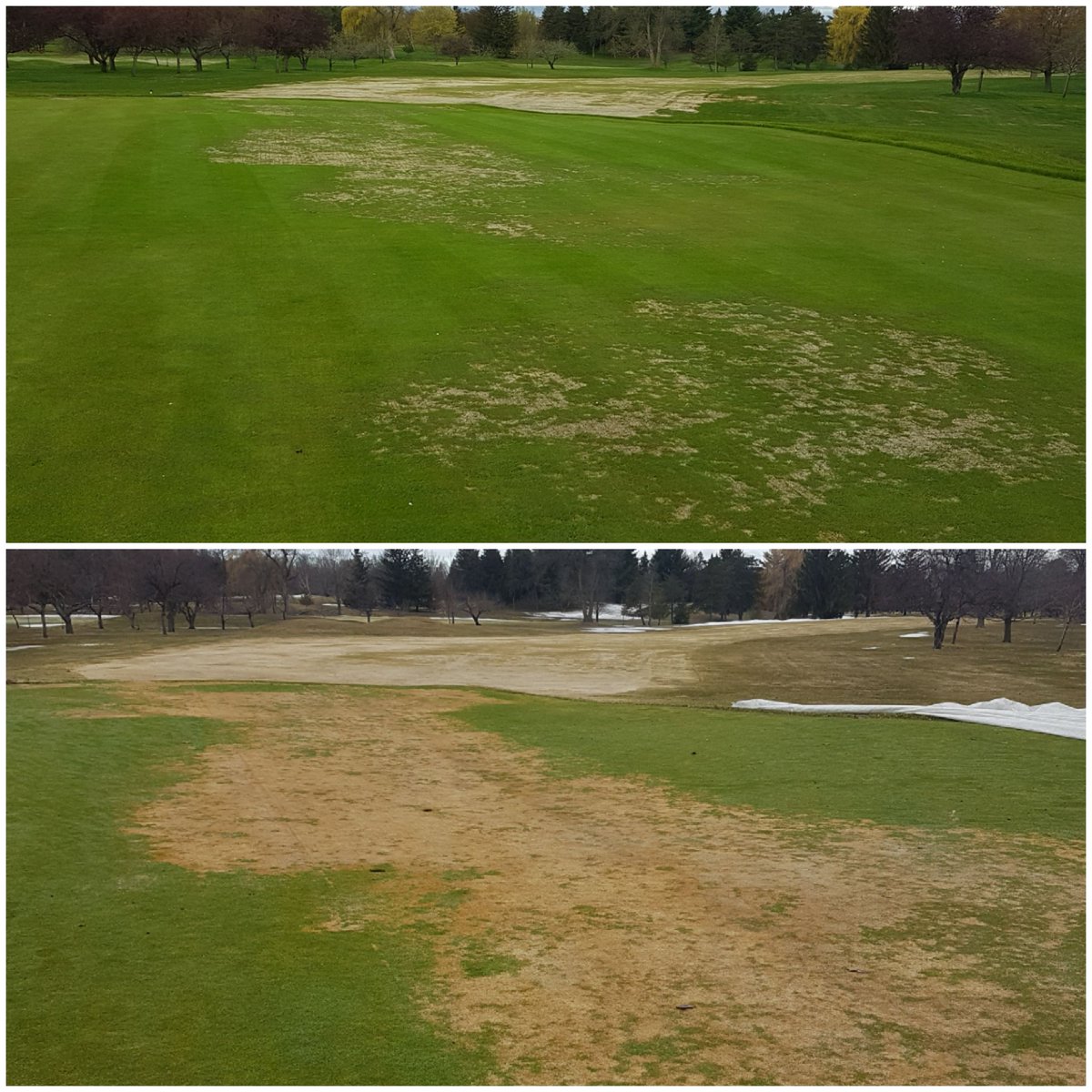 Kyle11Hand's tweet photo. Tough spring in southern Québec but things are slowly turning around https://t.co/5tmAptI4gC