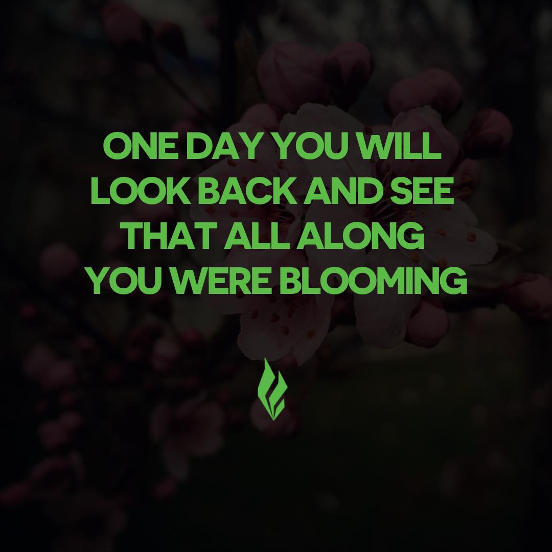 Remember to be patient with yourself, nothing in nature blooms all year 🏵️