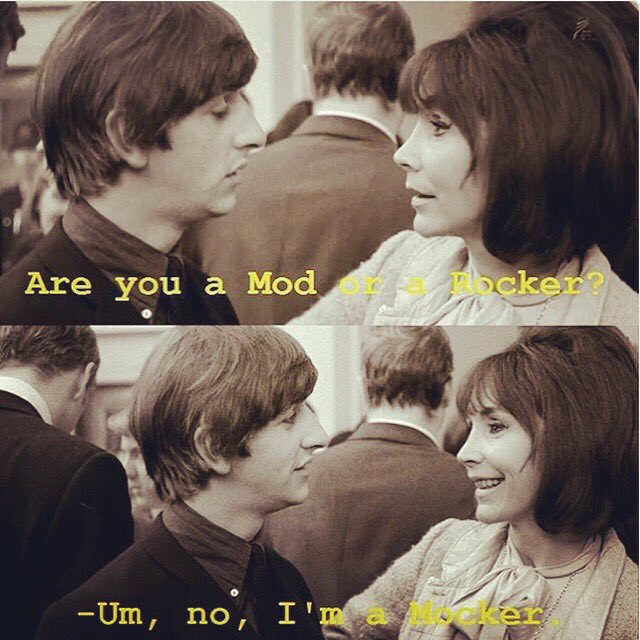 Whether you’re a #mod or a #rocker or just make great #music we wanna hear from you! 
#indiemusic #rock #pop #jazz #folk #newwave #oldwave #shoegaze #singersongwriter #punk #metal 
Follow us now! Deets in the coming weeks! Sorry if we forgot any genres it’s been a #harddaysnight