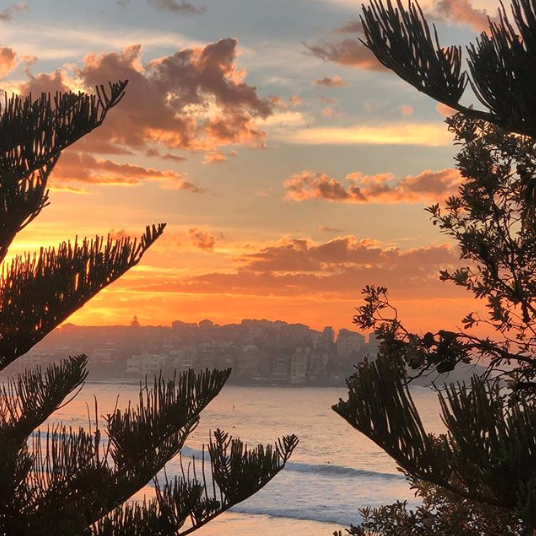 BondiLife's tweet photo. Sunrise with shades of mandarin this morning ☀️ by @suitecobondi https://t.co/rqOlhIca4v