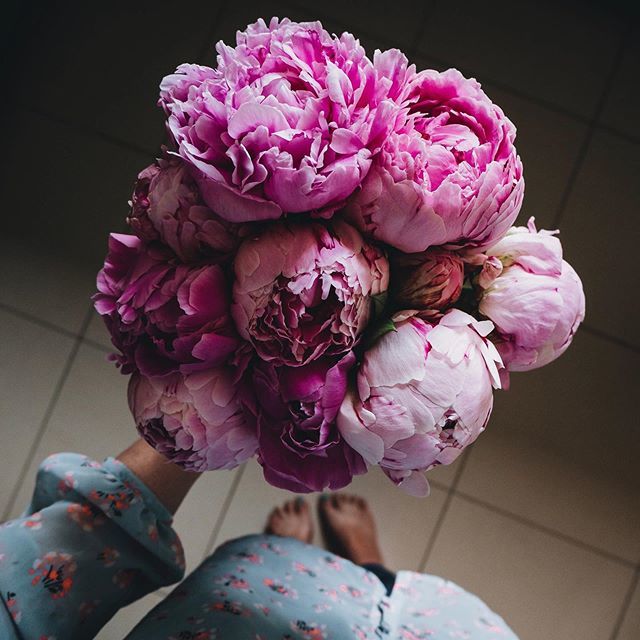 winnettes_'s tweet photo. Peony 🌸
•
I’ll let these peonies speak for themselves! They are so beautiful 🌸
•
And errrrm.... those are some serious tan marks on my feet 🙈
•
I’ve written a new blog post (it’s been a while) about making small eco friendly changes and why I thi… https://t.co/qLSRbi9NIJ https://t.co/jhlSTx0DVz