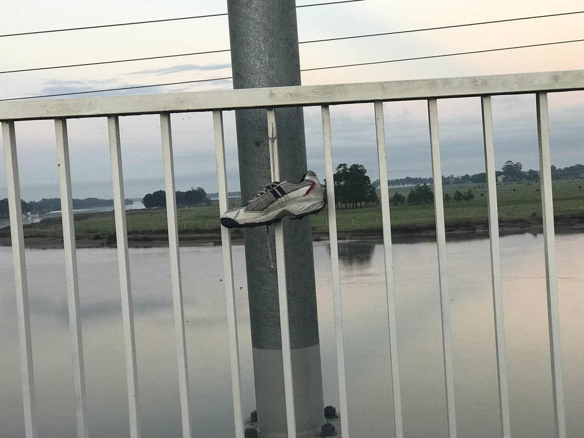 mareeknight79's tweet photo. Lost one lonely cricket shoe 🤔waiting for it’s owner @Fishy216 https://t.co/Hcd8bO43xL