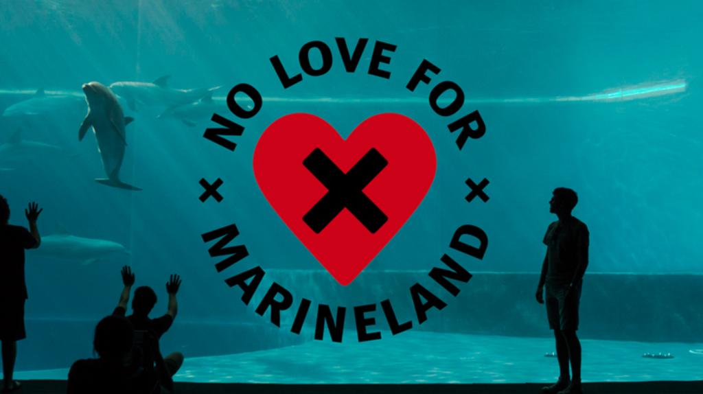 FinsandFluke's tweet photo. Dolphin_Project: π¨ Petition Alert: Show you have No Love For Marineland and Sign the petition by ZoocheckCanada: https://t.co/qhkZYFD31o
#DolphinProject #Zoocheck #ThanksButNoTanks https://t.co/hsJs9ubAyq