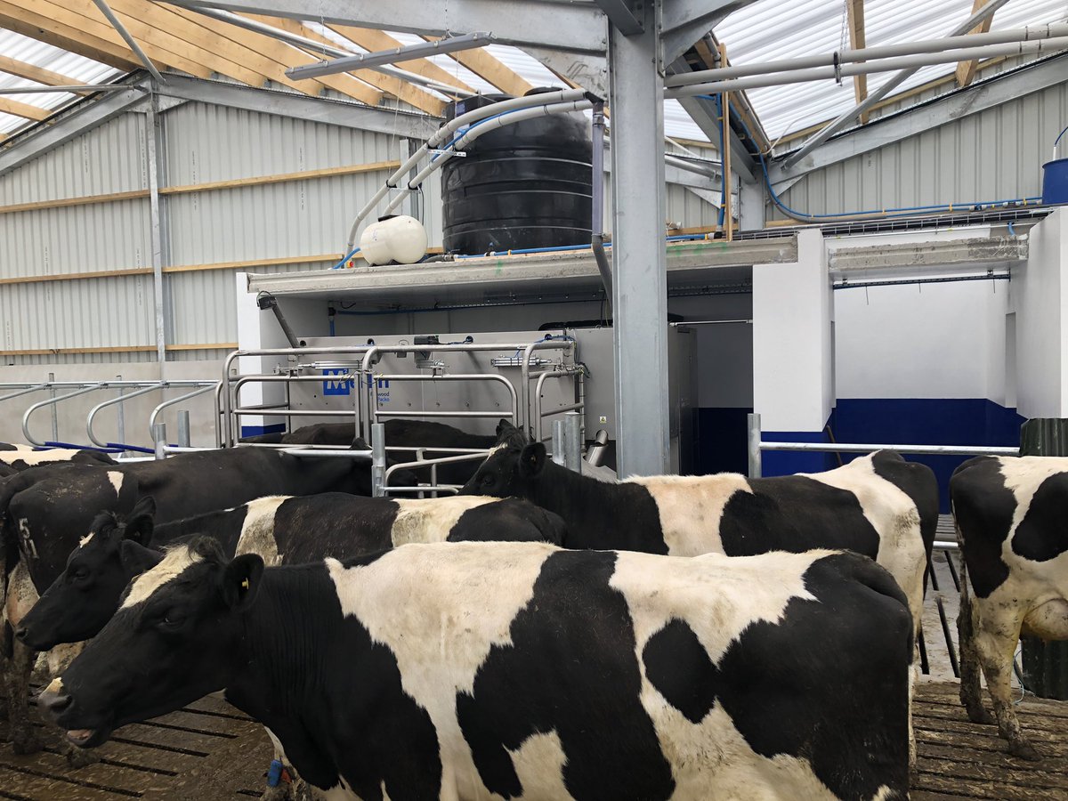 mckee_ni's tweet image. Great video @wilsonagri!Absolutely magnificent dairy unit. Very easy startup, cows were milked first time by a Fullwood M2erlin operated by the farmers 7 year old son! 🐄@FullwoodPacko 
@FullwoodPackoUK 
#m2erlin
#roboticmilking
#greenhillsystems