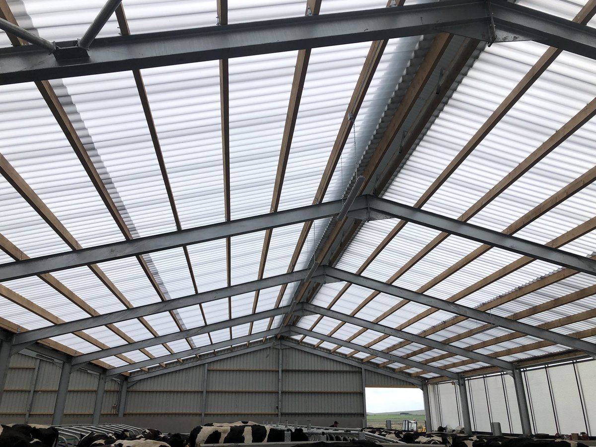 mckee_ni's tweet image. Great video @wilsonagri!Absolutely magnificent dairy unit. Very easy startup, cows were milked first time by a Fullwood M2erlin operated by the farmers 7 year old son! 🐄@FullwoodPacko 
@FullwoodPackoUK 
#m2erlin
#roboticmilking
#greenhillsystems