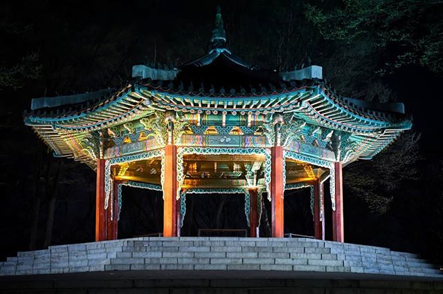 lazyimbecile's tweet photo. 041419
ancient temple near namsan tower
think I'll be trickling pictures from the future, past, and present for awhile~

#discoverkorea #koreanearandfar #instatravel #nikond500 #nikonasia #nikonnofilter #photographer #남산타워 https://t.co/gKisOILIQo https://t.co/f9VwkwwtuA