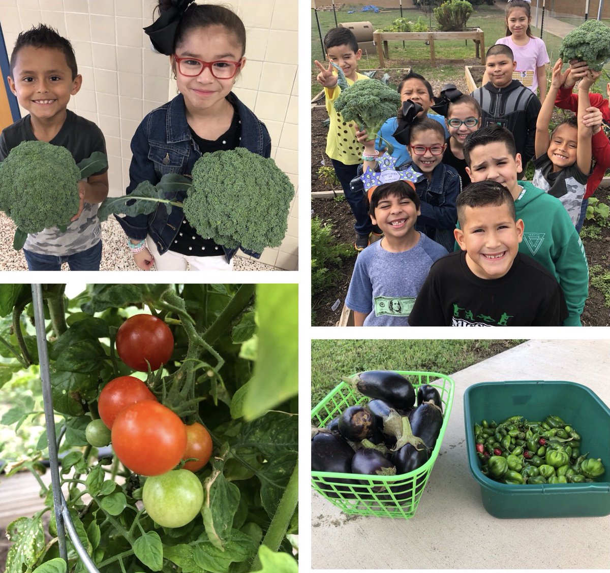whitmaupin's tweet photo. I didnt do a good job this year posting our Garden Club pictures so here are just a few we are proud of! 😊❤️ @EscandonEagles https://t.co/eSc8TXttf7