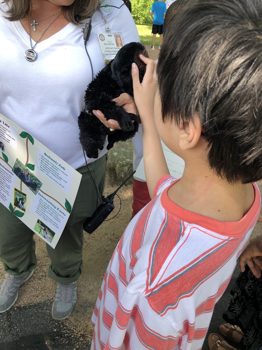 Mrs. Kincade tweet media