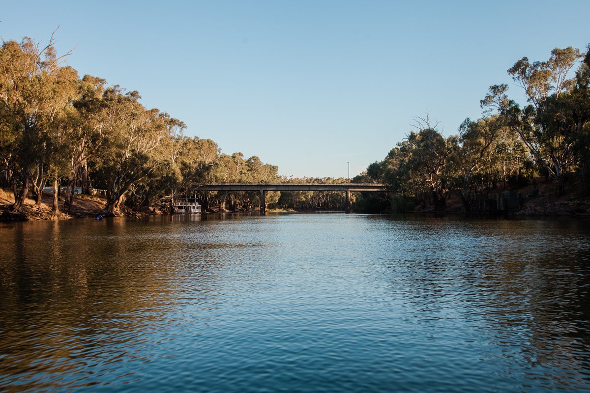 McLean Beach Holiday Park tweet media