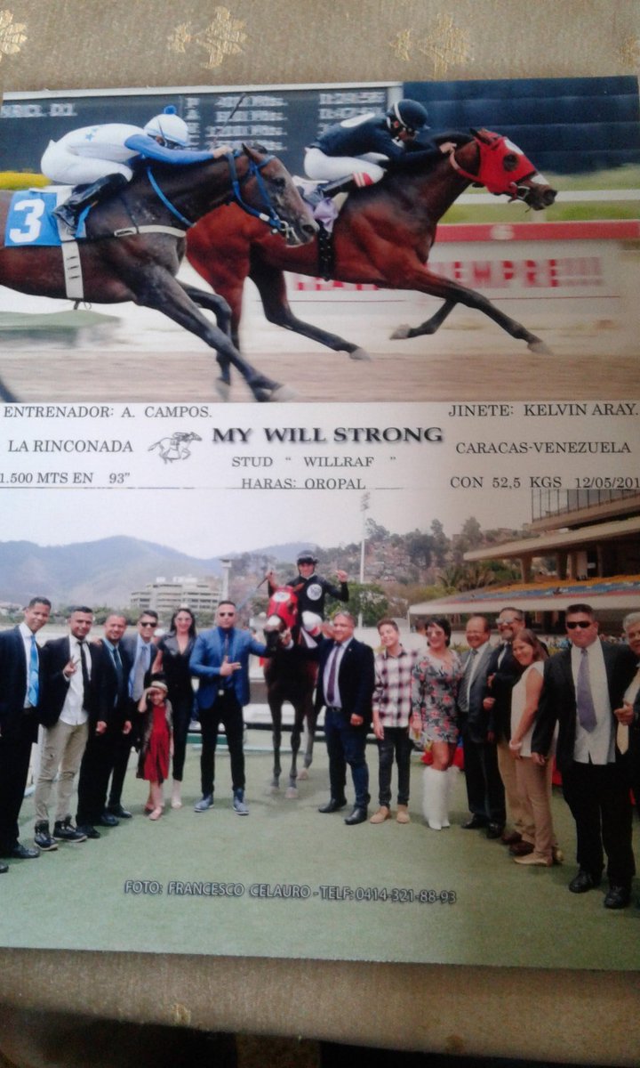KArayJockey's tweet photo. My Will Strong. 📷🐎 https://t.co/p9DHANiruY