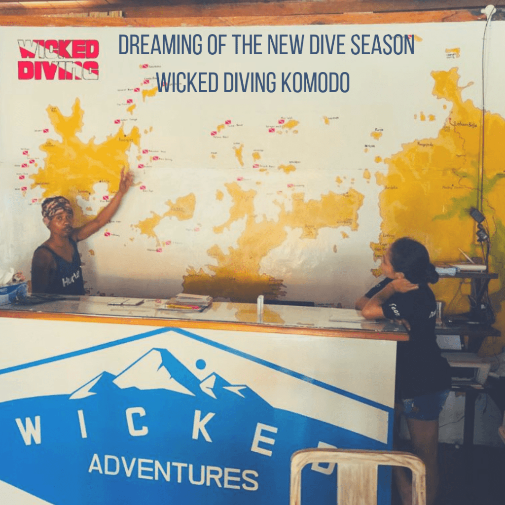 Wicked Diving tweet media