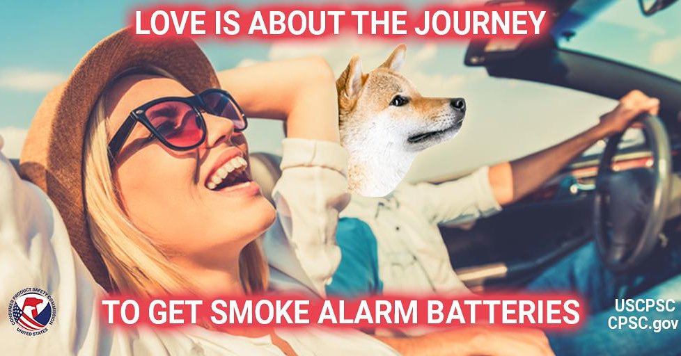 A dog named Potato driving a car with a laughing woman. The text reads: Love is about the journey to get smoke alarm batteries.