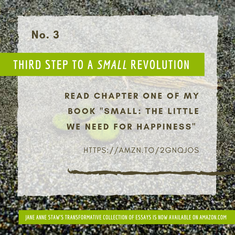 Jane_Staw's tweet photo. I hope you've joined the 'small' revolution. For step #3, please read chapter one of my book "Small: The Little We Need for Happiness" and join the conversation by leaving your comments below. Book: https://t.co/hdC389Jh3d
#smallrevolution https://t.co/UGgHXizv1Q