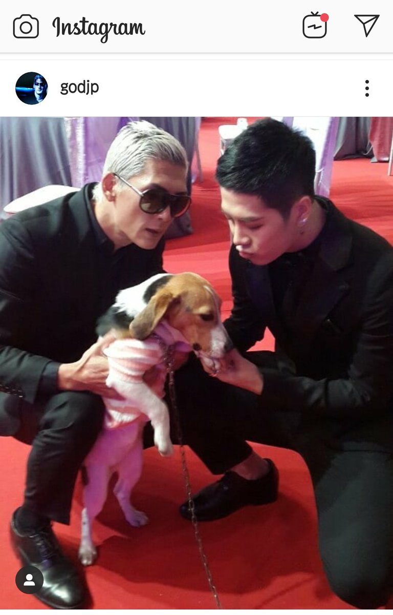 Ryu5taro インスタにgodパク ジュニョン兄さんがルームメイト2で共演したビーグル犬のオイ 韓国語でキュウリ を懐かしむ投稿をしたところkaraヨンジとgot7ジャクソンがコメントしていて微笑ましい God パクジュニョン Kara ヨンジ Got7 ジャクソン