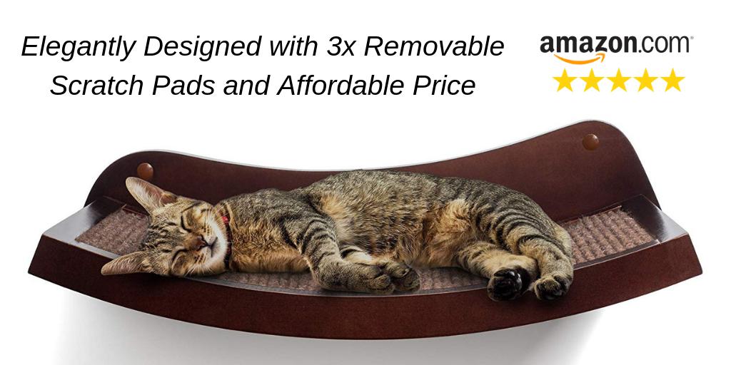 HumaneGoods's tweet image. We're excited to introduce our newest product... the Deluxe Cat Shelf! This elegant, curved, floating cat perch provides the perfect place for your kitty to lounge.  50% Off Discount Available Today on Amazon ===&amp;gt; buff.ly/2VF1nVS  #cats #cat #kitten
