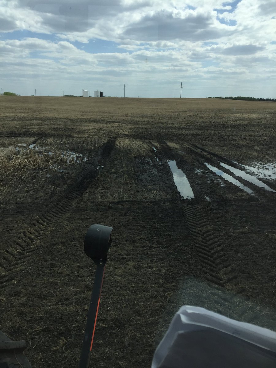 kramerfarms's tweet photo. Wing up and a road trip to the other side #notfeelinglucky https://t.co/DVHlnkxBUe