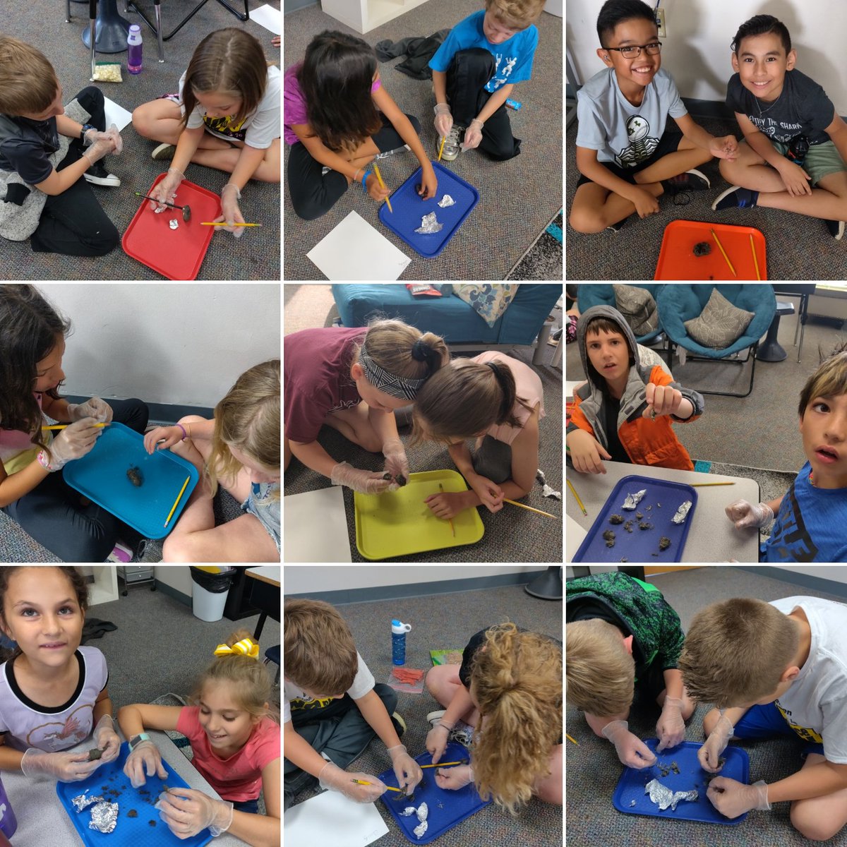 Nothing like getting dirty with some good ol' owl pellets!