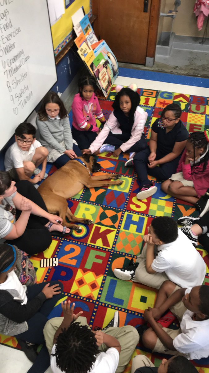 Wayside Waifs @ Longfellow Elementary School. Ms. Allen’s third grade class really enjoyed the dogs. <a href="/KCPS_Longfellow/">LongfellowElementary</a>