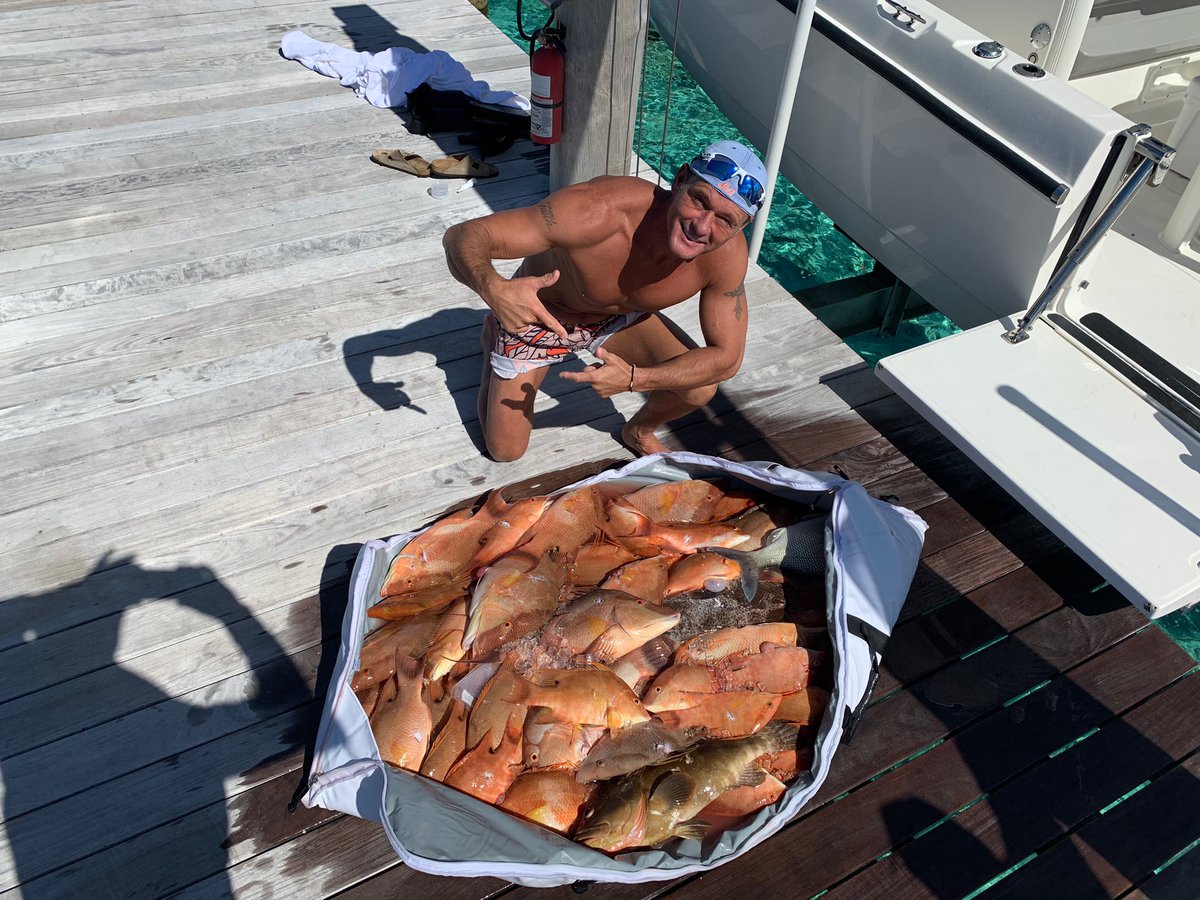 TheTimMcGraw's tweet photo. A little spear fishing! https://t.co/fRrw7sajOf