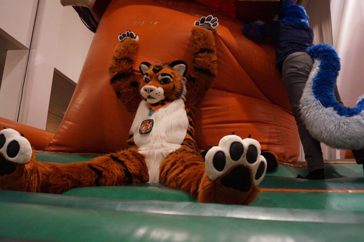 for the last 2 days my twitter has been filled with Paws and fursuits. I dont have much photos of the trend instead here have some photos after the Group photo during NFC 2019.. 
Suiters: <a href="/AmurUssuri/">AmurUssuri</a> <a href="/Laimika/">Laimika</a> <a href="/NyxieNl/">Nyxie wuffy</a> 
All Suits made by <a href="/AlphaDogsStudio/">Alpha Dogs</a>