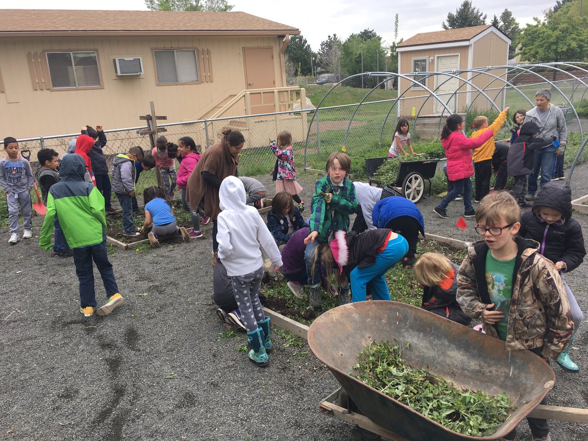 MermaidTeacher1's tweet photo. Take chances, make mistakes and get messy! Today we got messy by pulling weeds for our  @school_foster school garden! We worked as a team to get the tough ones out! Can’t wait to see the fruits and vegetables to grow! @JeffcoSchoolsCo #msfrizzle #funin1st https://t.co/qONNoSgR2G