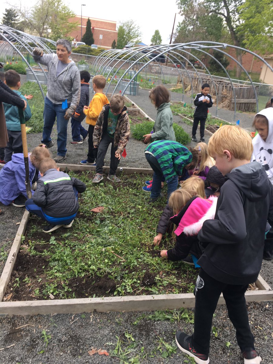 MermaidTeacher1's tweet photo. Take chances, make mistakes and get messy! Today we got messy by pulling weeds for our  @school_foster school garden! We worked as a team to get the tough ones out! Can’t wait to see the fruits and vegetables to grow! @JeffcoSchoolsCo #msfrizzle #funin1st https://t.co/qONNoSgR2G