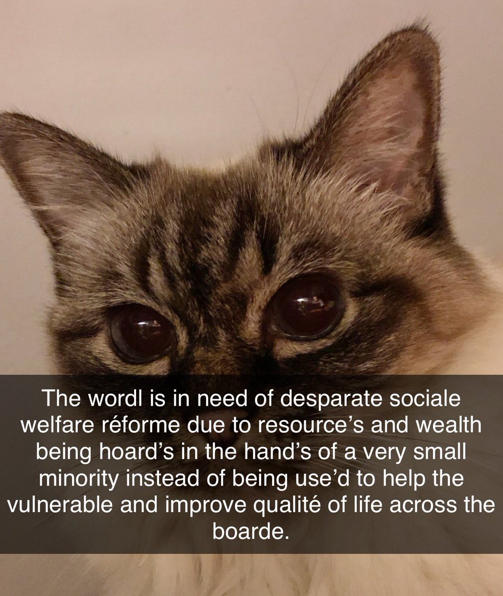 PrimcessPamcake's tweet photo. of coarse, hear yuo go , https://t.co/tg0iLF4gNj