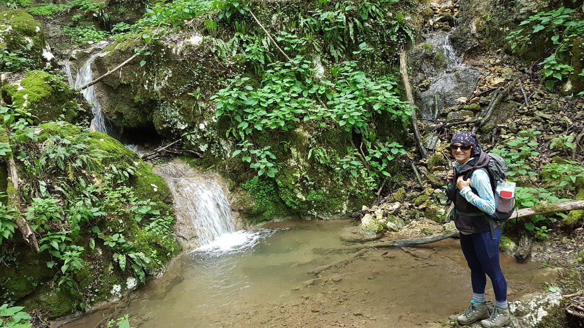 trekkin2thewild's tweet photo. Non bastano le parole e le foto per capire le emozioni che si provano con questa escursione. Venire a provare le nostre stesse emozioni il 16 Giugno, non rimarrete delusi! INFO 3492188652
#emozioni #hike #expirience #naturasenzaconfini #trekkin2thewild #igersitalia #igersveneto https://t.co/sR7vGny0RU